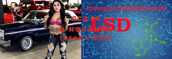 амф Осинники