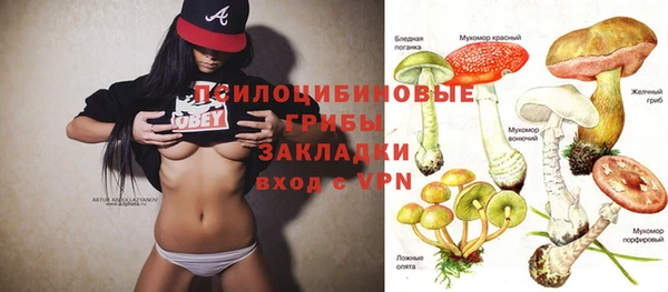 PSILOCYBIN Иноземцево