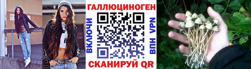 Псилоцибиновые грибы прущие грибы  Южноуральск 